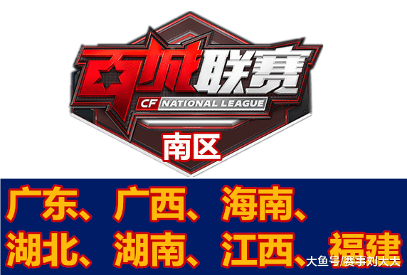 伙伴投入资